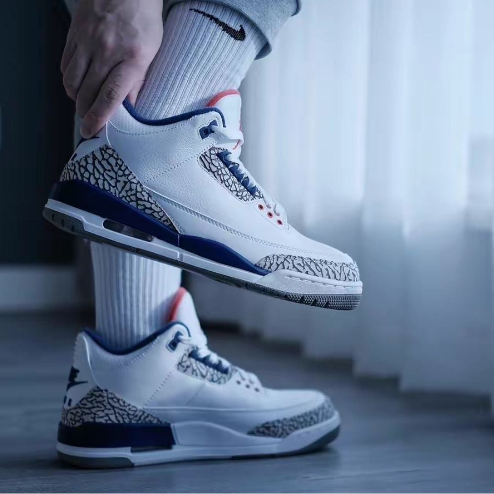 Air Jordan 3 Retro OG True Blue 2016